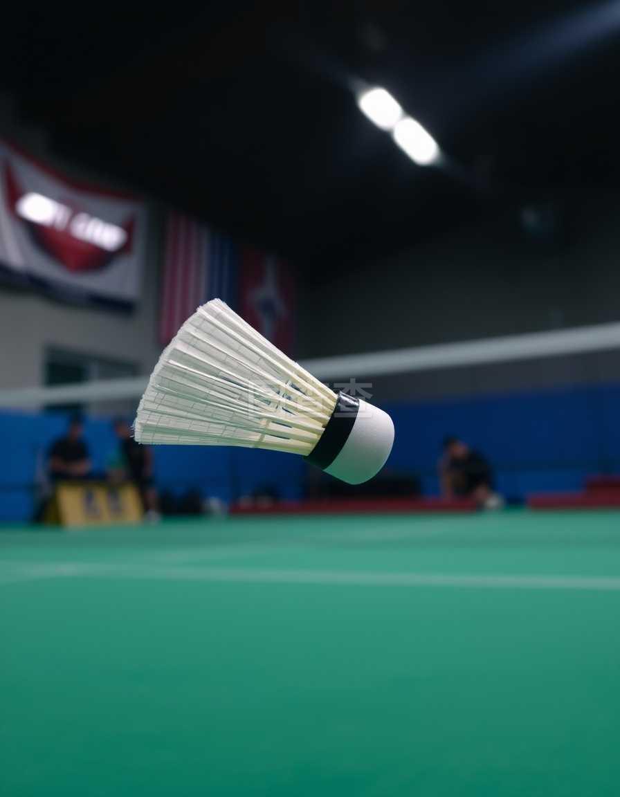 最高得分的 最高得分的