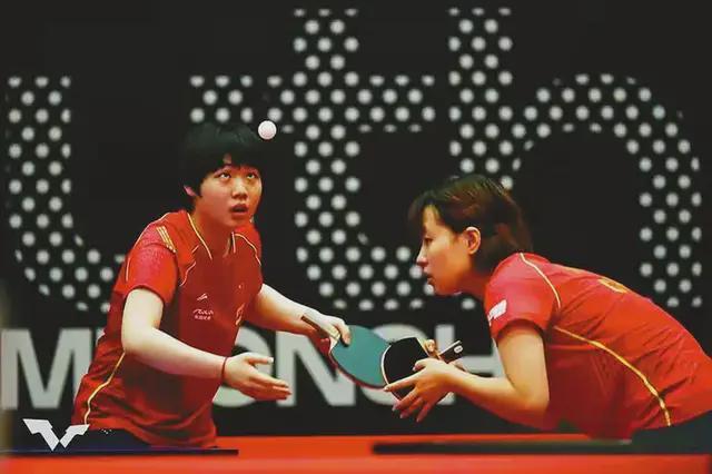 二条小龙 二条小龙